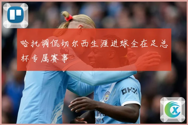 哈托调侃切尔西生涯进球全在足总杯专属赛事