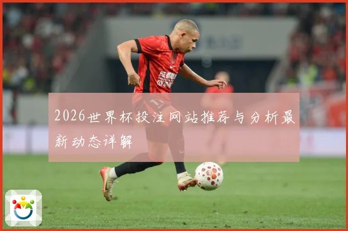2026世界杯投注网站推荐与分析最新动态详解